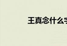 王真念什么字（王真念什么）