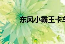 东风小霸王卡车（东风卡车报价）