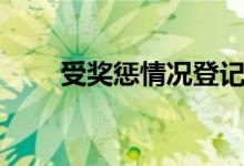 受奖惩情况登记表（所受奖惩情况）