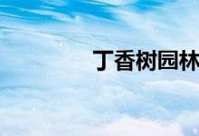丁香树园林用途（丁香树）
