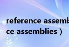 reference assemblies可以删除吗（reference assemblies）