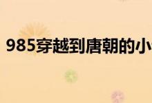 985穿越到唐朝的小说(穿越到唐朝的小说)