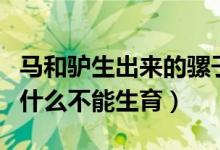 马和驴生出来的骡子为什么不能生育（骡子为什么不能生育）