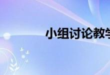 小组讨论教学法（小组讨论）