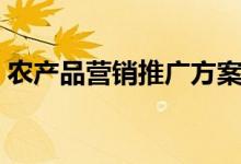 农产品营销推广方案（产品营销方案怎么写）