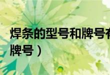 焊条的型号和牌号有什么区别（焊条的型号和牌号）