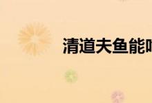 清道夫鱼能吃吗（清道夫鱼）