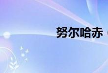 努尔哈赤（清努尔哈赤）