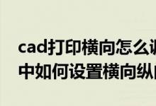 cad打印横向怎么调整?（在CAD里打印设置中如何设置横向纵向）