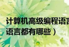 计算机高级编程语言是什么（计算机高级编程语言都有哪些）