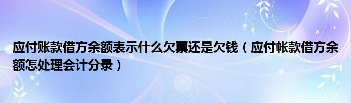 应付账款借方余额表示什么欠票还是欠钱（应付帐款借方余额怎处理会计分录）