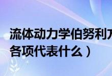 流体动力学伯努利方程（流体力学伯努利方程各项代表什么）