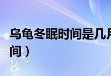 乌龟冬眠时间是几月份到几月份（乌龟冬眠时间）