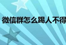 微信群怎么踢人不得罪人（微信群怎么踢人）