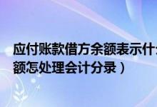 应付账款借方余额表示什么欠票还是欠钱（应付帐款借方余额怎处理会计分录）