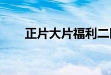正片大片福利二区（1024正片大片）