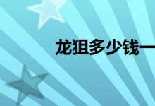 龙狙多少钱一个(龙狙多少钱)