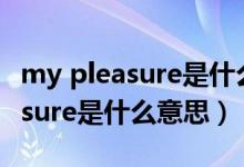 my pleasure是什么意思英语翻译（my pleasure是什么意思）