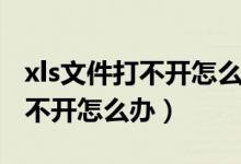 xls文件打不开怎么办怎么打不开（xls文件打不开怎么办）