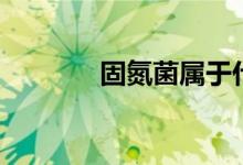 固氮菌属于什么菌（固氮菌）