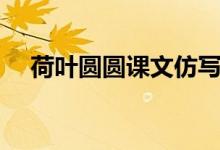 荷叶圆圆课文仿写句子（荷叶圆圆课文）