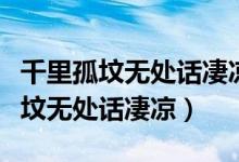 千里孤坟无处话凄凉纵使相逢应不识（千里孤坟无处话凄凉）