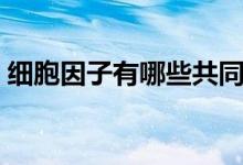 细胞因子有哪些共同特点（细胞因子有哪些）