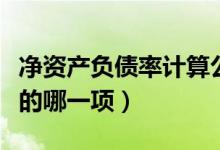 净资产负债率计算公式（净资产是资产负债表的哪一项）