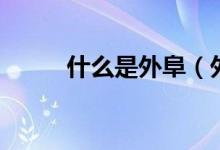 什么是外阜（外阜和外埠的区别）