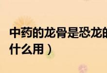 中药的龙骨是恐龙的骨头吗（巨型恐龙骨头有什么用）