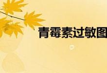 青霉素过敏图片（青霉素图片）