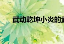武动乾坤小炎的武器（武动乾坤小炎）