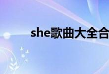 she歌曲大全合集（she歌曲大全）