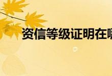 资信等级证明在哪开（资信等级证明）