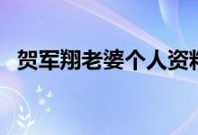 贺军翔老婆个人资料及图片（贺军翔老婆）