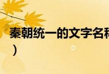 秦朝统一的文字名称（秦朝统一的文字叫什么）