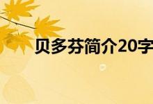 贝多芬简介20字（贝多芬简介50字）