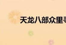 天龙八部众里寻卿（天龙八部众）