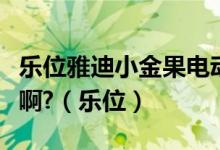 乐位雅迪小金果电动车株洲总代理在什么位置啊?（乐位）
