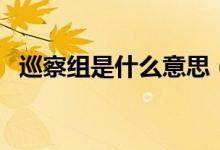 巡察组是什么意思（巡查组与巡察组区别）