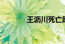 王沥川死亡原因（王沥川死）