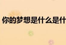 你的梦想是什么是什么梗(你的梦想是什么)
