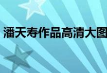 潘天寿作品高清大图(潘天寿作品怎么形容)