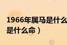 1966年属马是什么命五行如何（1966年属马是什么命）