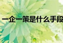 一企一策是什么手段（一企一策是什么意思）