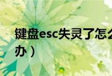 键盘esc失灵了怎么办（键盘esc键失灵怎么办）