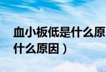 血小板低是什么原因 发烧不退（血小板低是什么原因）