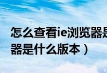 怎么查看ie浏览器是什么版本（怎么看ie浏览器是什么版本）