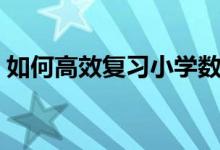 如何高效复习小学数学（小学数学如何复习）