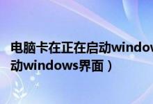 电脑卡在正在启动windows界面然后重启（电脑卡在正在启动windows界面）